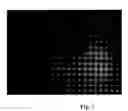Fig. 02 - Refolded membrane protein in monodisperse form