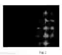 Fig. 03 - Refolded membrane protein in monodisperse form