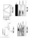 Fig. 07 - Modulation of gene expression using localization domains