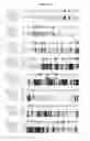 Fig. 14 - Polynucleotides encoding the novel human phosphatase, RET31, and variants thereof