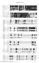 Fig. 32 - Polynucleotides encoding the novel human phosphatase, RET31, and variants thereof