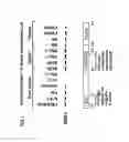 Fig. 02 - Method and composition for regulating expansion of stem cells