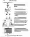 Fig. 02 - Method for identifying the proteome of cells using an antibody library microarray