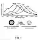 Fig. 02 - Metal nanoshells for biosensing applications