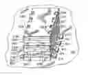 Fig. 01 - Castellation wafer level packaging of integrated circuit chips