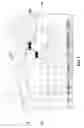 Fig. 02 - Fiber reinforced elastomeric article