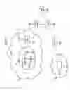 Fig. 02 - Method for optimizing handover between communication networks