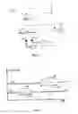 Fig. 05 - Apparatus for measuring parameters relating to the trajectory and/or motion of a moving article