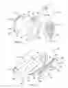 Fig. 08 - High density alloy for improved mass properties of an article
