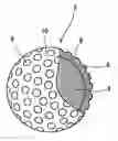 Fig. 01 - Golf ball
