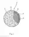 Fig. 02 - Golf ball