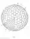 Fig. 03 - Golf ball