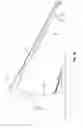 Fig. 08 - Incline trainer