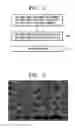 Fig. 02 - Dielectric ceramic composition of forsterite system for microwave and millimeter-wave application and method for forming the same