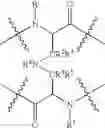 Fig. 09 - Serine protease inhibitors