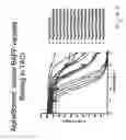 Fig. 13 - BAFF variants and methods thereof