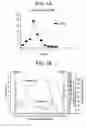 Fig. 02 - Process for the synchronization of ovulation for timed breeding without heat detection