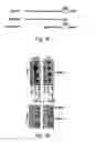 Fig. 02 - Methods for identifying modulators of intracellular aggregate formation