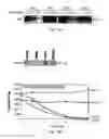 Fig. 23 - Methods for identifying modulators of intracellular aggregate formation