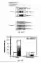 Fig. 30 - Methods for identifying modulators of intracellular aggregate formation