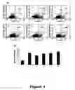 Fig. 05 - Compounds useful in inhibiting vascular leakage, inflammation and fibrosis and methods of making and using same