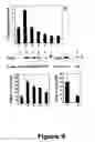 Fig. 10 - Compounds useful in inhibiting vascular leakage, inflammation and fibrosis and methods of making and using same