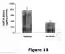 Fig. 11 - Compounds useful in inhibiting vascular leakage, inflammation and fibrosis and methods of making and using same