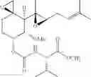 Fig. 34 - Therapeutic agents and methods of use thereof for the modulation of angiogenesis