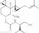 Fig. 40 - Therapeutic agents and methods of use thereof for the modulation of angiogenesis