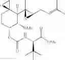 Fig. 41 - Therapeutic agents and methods of use thereof for the modulation of angiogenesis