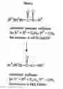 Fig. 02 - Therapeutic compositions