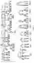 Fig. 02 - Nucleic acid coding for the cgl1 polypeptide and diagnostic and therapeutic application of said nucleic acid and of the cgl1 polypeptide