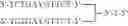 Fig. 77 - Modulation of immunostimulatory properties by small oligonucleotide-based compounds