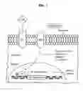 Fig. 02 - Method and compositions for inhibiting tumorigenesis