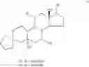 Fig. 22 - Method of making and using 7alpha,11beta-dimethyl-17beta-hydroxyestr-4-en-3-one 17-undecanoate