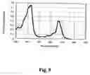 Fig. 09 - Method for improving treatment selectivity and efficacy using intravascular photodynamic therapy