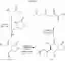 Fig. 11 - Inhibitors of cathepsin S