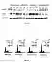 Fig. 02 - Taxane chemosensitivity prediction test