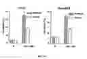 Fig. 08 - Taxane chemosensitivity prediction test