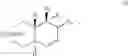 Fig. 09 - Δ-D-Homosteroids with androgenic action