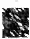 Fig. 02 - Elastic blends comprising crystalline polymer and crystallizabe polymers of propylene