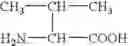 Fig. 09 - Biologically absorbable coatings for implantable devices based on poly(ester amides) and methods for fabricating the same