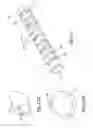 Fig. 35 - Articulation joint for video endoscope
