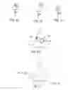 Fig. 07 - Dressing and an epidermal positioning mechanism and method for using same
