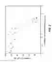 Fig. 03 - Method and device for transdermal delivery of fentanyl and sufentanil
