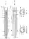Fig. 02 - Modular steerable sheath catheters