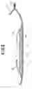 Fig. 04 - Absorbent article having a decorative element