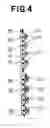 Fig. 05 - Pull-on disposable wearing article