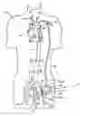 Fig. 01 - Cannulae for selectively enhancing blood flow