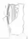 Fig. 02 - Method and device for minimally invasive implantation of biomaterial